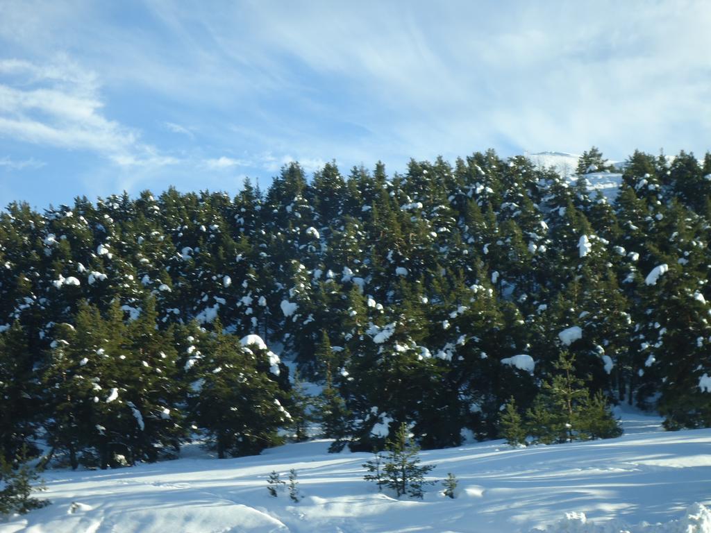 Apartment Face Aux Pistes Greolieres les Neiges Exteriér fotografie