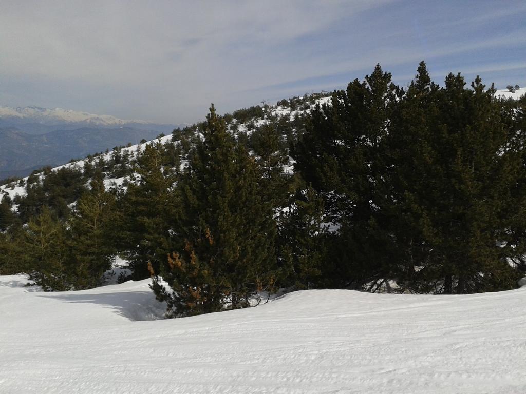 Apartment Face Aux Pistes Greolieres les Neiges Exteriér fotografie